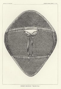 Raqueta de nieve Nenenot - Cola de castor de American School