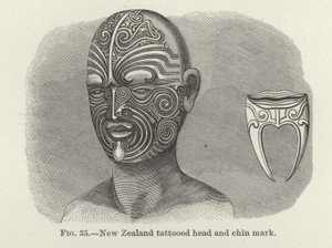 Cabeza y marca de barbilla tatuadas de Nueva Zelanda de American School