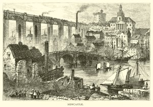Newcastle de American School
