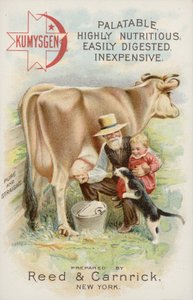 Anciano ordeñando vaca, con niño y gato