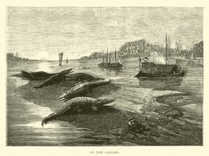 En el Ganges de American School