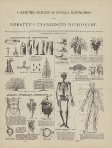 Página del Diccionario Completo de Webster (George Bell)