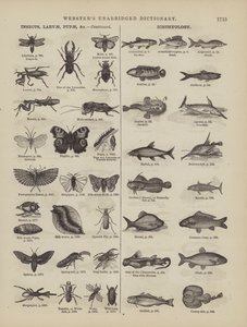 Página del Diccionario Completo de Webster (George Bell) de American School