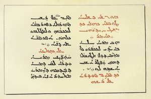 Página de una Biblia Siria de American School