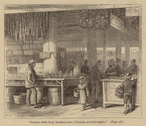 "Pasando bajo largas y colgantes hileras de plátanos y piñas" (grabado) de American School