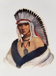 Petalesharro, un valiente Pawnee, ilustración de 