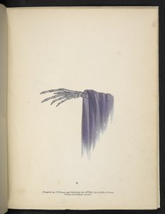 Lámina 8. Una mano esquelética.  espectropia; o Sorprendentes ilusiones espectrales que muestran fantasmas por todas partes, y de cualquier color, etc. ser. 1.  J H. Marrón  1864 de American School