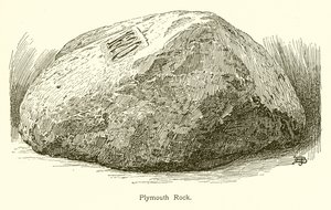 Plymouth Rock de American School