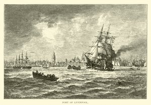 Puerto de Liverpool de American School