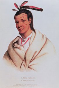 Retrato de A-Mis-Quam, un valiente winnebago