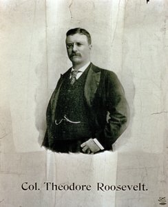Retrato del Coronel Theodore Roosevelt de American School