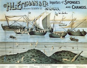 Póster publicitario de H.L. Ettman & Co., importadores de esponjas y gamuzas, 1897