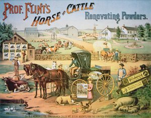 Polvos renovadores para caballos y ganado del Profesor Flint, c.1900 de American School