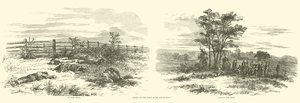 Escenas en el campo después de la batalla, septiembre 1862 de American School