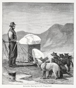 Schneider transportando hielo con el equipo de cachorros, pub. Londres 1886 de American School