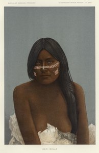 Belleza Seri