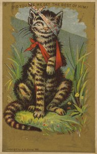 Gato Sonriente con Heridas de American School