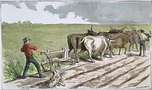 Sodbusters del Oeste Americano, c.1880 de American School
