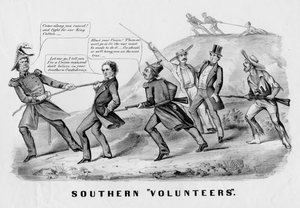 Voluntarios sureños