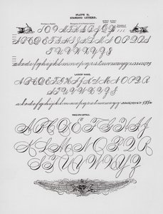 Letras estándar; Mano de dama; Mayúsculas de brazo completo de American School