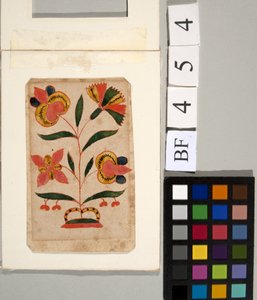 Estudio de flores