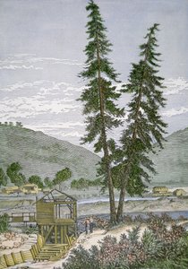 Molino de Sutter de American School