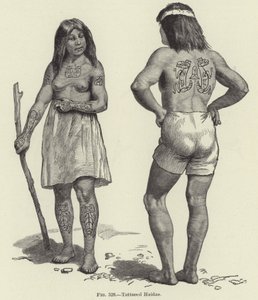 Haidas tatuados de American School