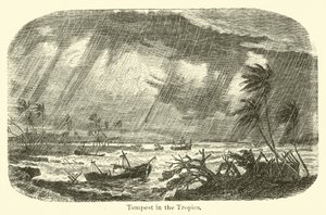 Tempestad en los trópicos