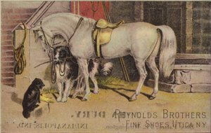 Caballo atado con perro pastor