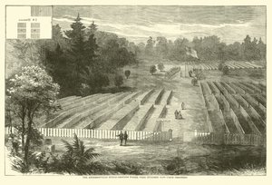 Los cementerios de Andersonville donde fueron enterrados 14,000 prisioneros de la Unión, mayo 1865 de American School