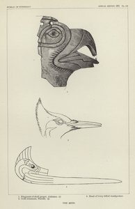 El pájaro de American School