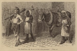 "El Boeuf-Gras, el buey gordo, es conducido en la procesión" (grabado) de American School