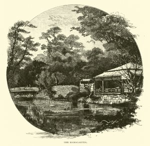 El Hamagarten de American School