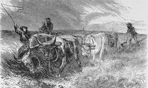 El arado de la pradera, ilustración de 