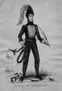 El animal que cobra peaje negro de American School
