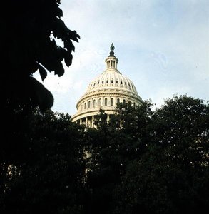 La cúpula del Capitolio, 1793-1830 de American School