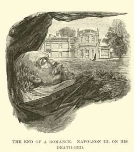 El fin de un romance, Napoleón III, en su lecho de muerte de American School