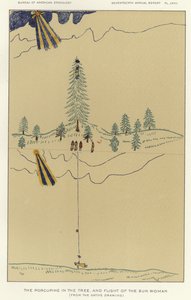 El puercoespín en el árbol y la huida de la mujer sol de American School
