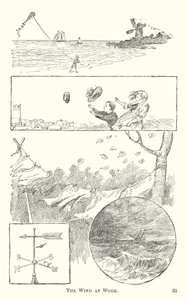 El viento en acción de American School