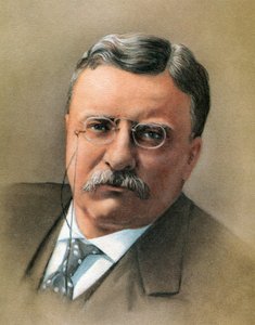 Theodore Roosevelt