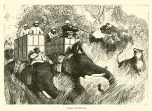 Caza de tigres de American School
