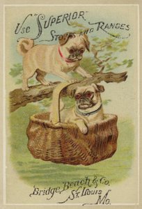 Dos Perros y una Cesta