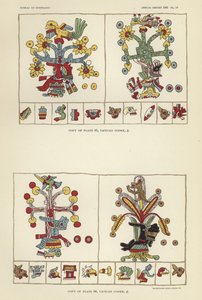 Códice Vaticano de American School