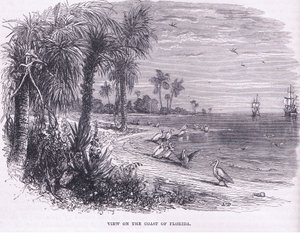 Vista de la costa de Florida, ilustración de la Historia de los Estados Unidos de Cassell, publicada por Petter & Galpin c.1890 de American School