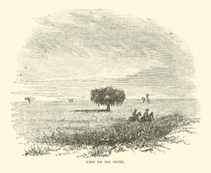 Vista en el Teche, abril 1863 de American School
