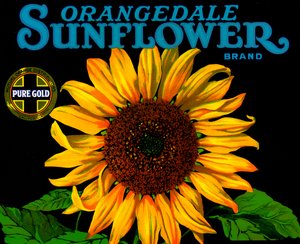 Etiqueta vintage de caja de frutas de girasol de American School