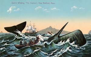 Balleneros arponeando un cachalote frente a New Bedford, Massachusetts