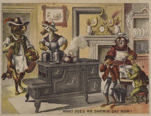 ¿Qué dice ahora el Sr. Darwin? de American School