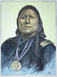 Oso Blanco de American School