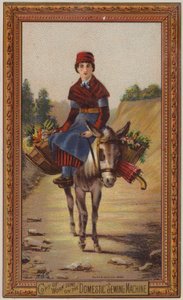Mujer montando en burro de American School